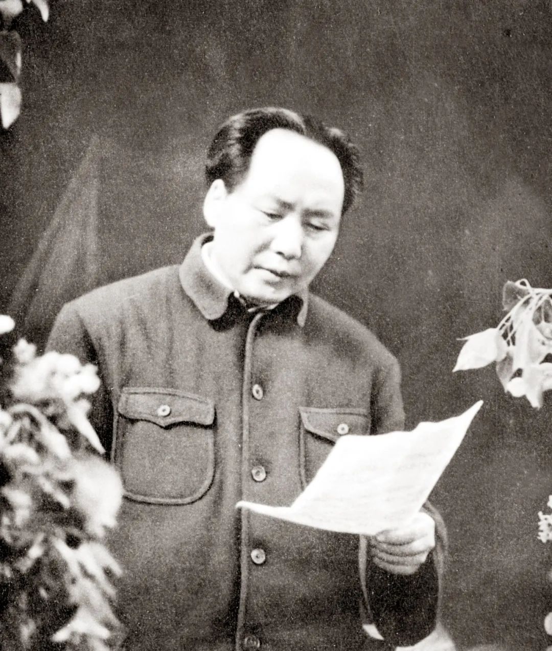 1669452296979506.jpg 微信图片_20221126164430.jpg