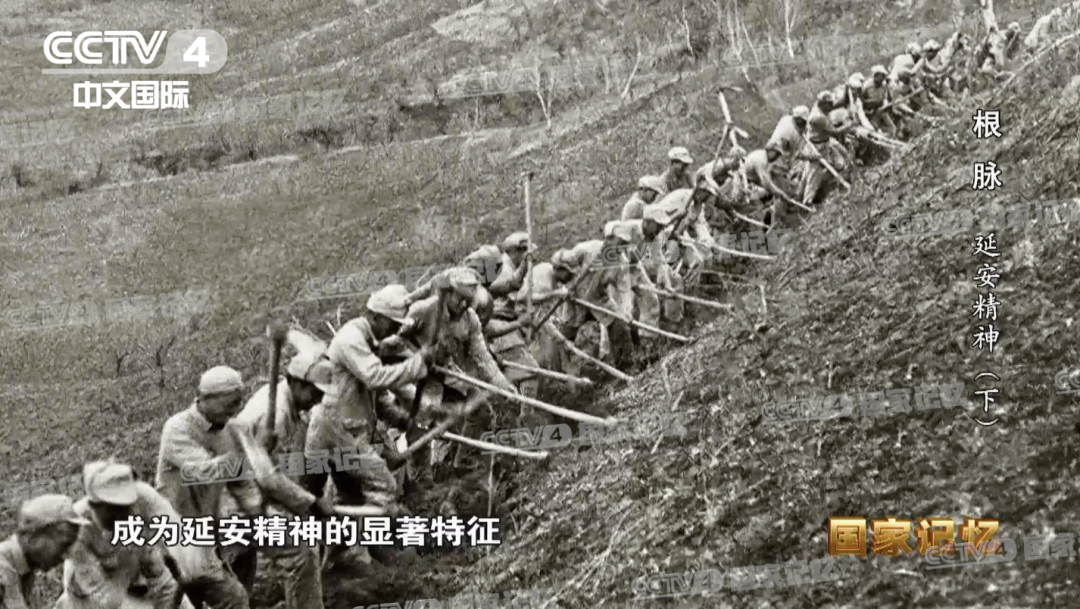 微信图片_20221215101701.png