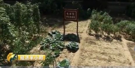 1686196042621871.jpg 微信图片_20230608114644.jpg